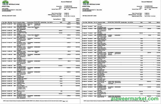 Pakistan MCB Bank account statement Word and PDF template, 2 pages